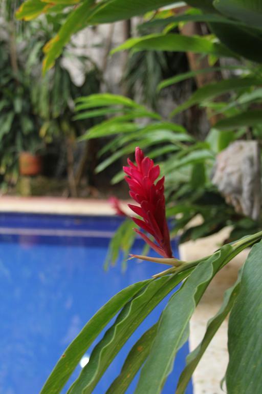 Hotel Casa Del Tejadillo Cartagena Esterno foto